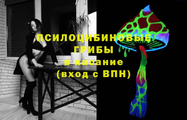 дживик Алексеевка