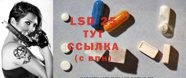стаф Алексин