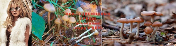 марки nbome Алзамай