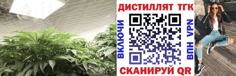 мега онион  Казань  ТГК гашишное масло 
