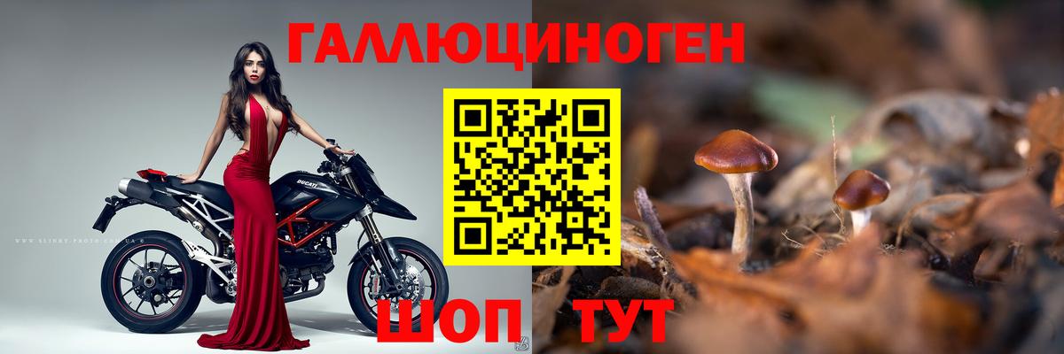 Псилоцибиновые грибы ЛСД  Вход с VPN  Казань 